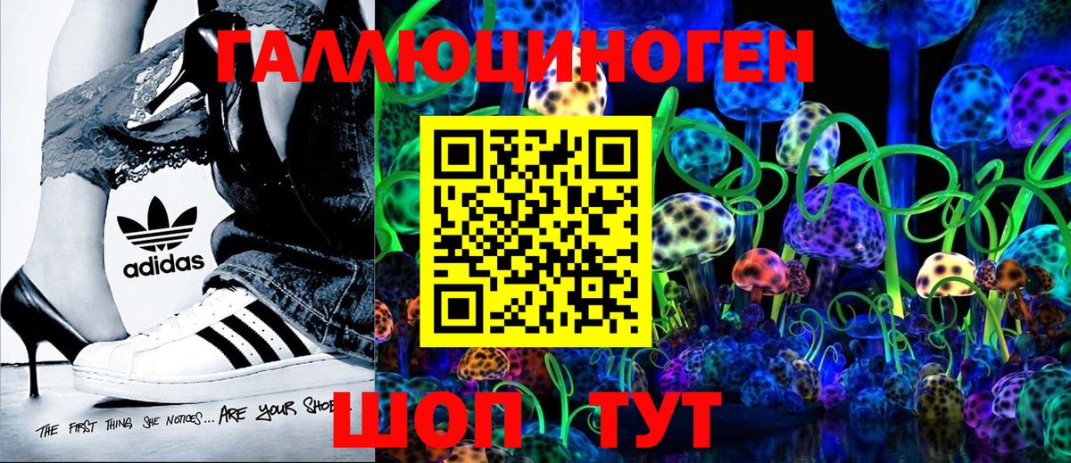 Галлюциногенные грибы прущие грибы  Вход с VPN  Мыски 